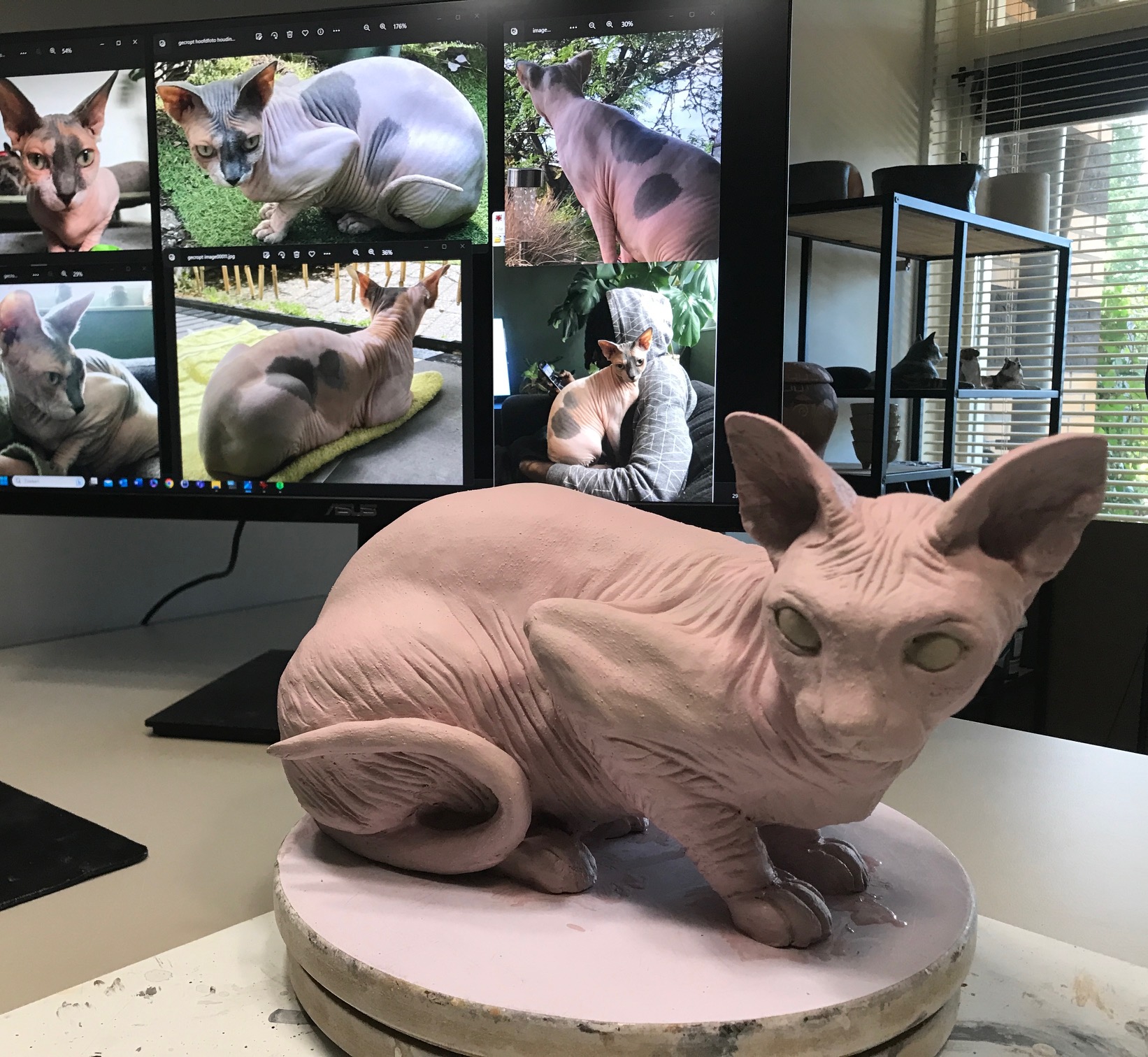 klei scultptuur naaktkat sphynx